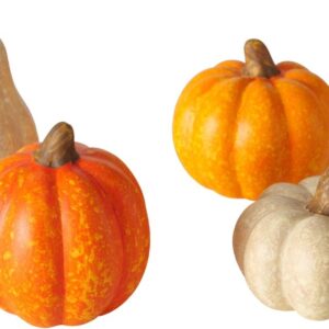 Set 4 decorazioni Pumpky Magnus Regalo by Pattycrea