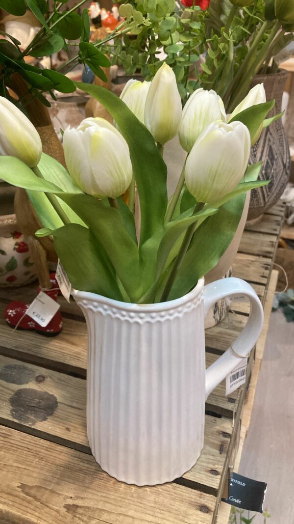 Tulipano fascio 7fiori h30cm white Pattycrea