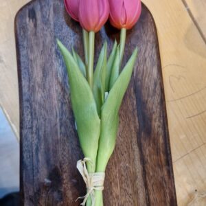 Mini bush tulipano x3 real touch beauty