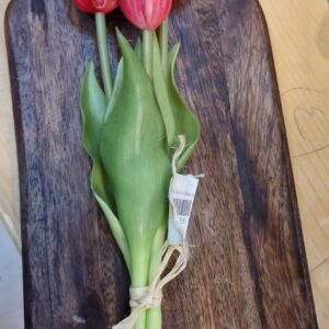 Mini bush tulipano x3 real touch rosa scuro